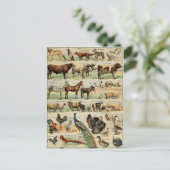 Vintage Landtiere Postkarte (Stehend Vorderseite)