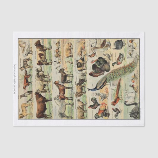 Vintage Landtiere Seidenpapier (Vorderseite)