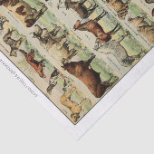 Vintage Landtiere Seidenpapier (Ausschnitt)