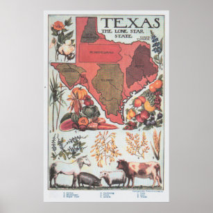 Vintage Landwirtschaftliche Landkarte Texas (1922) Poster
