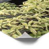 Vintage landwirtschaftliche Räder Poster (Ecke)