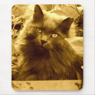 Vintage Langhaarige Russische Blaue Katze Mousepad