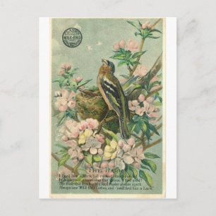 Vintage Lark Bird Postkarte