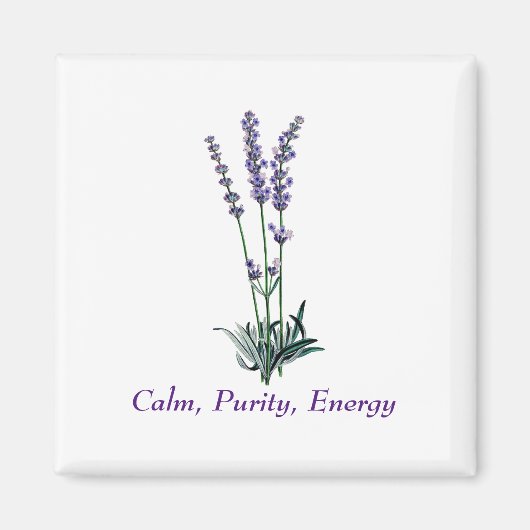 Vintage Lavendel-Blume Magnet (Vorne)