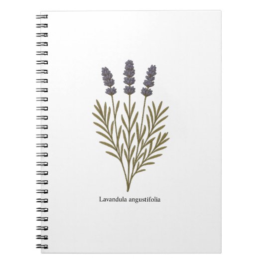 Vintage Lavendel-Blume Notizblock (Vorderseite)