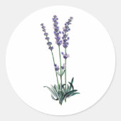 Vintage Lavendel-Blume Runder Aufkleber (Vorderseite)