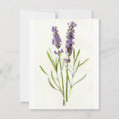 Vintage Lavendel Feiertagskarte (Vorderseite)