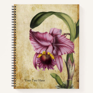 Vintage lebendige Cattleya labiata Orchidee Notizblock