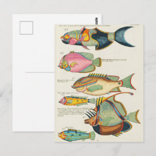 Vintage, lebendige Wandkunst zum marinen Leben in  Postkarte
