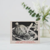 Vintage Lebensmittel Artikel Postkarte (Stehend Vorderseite)