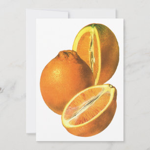 Vintage-Lebensmittel, Bio-Frisch-Orangen Gesund