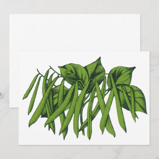 Vintage Lebensmittel, Bio grüne Bohnen Gemüse (Vorne/Hinten)