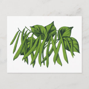 Vintage Lebensmittel, Bio grüne Bohnen Gemüse Postkarte