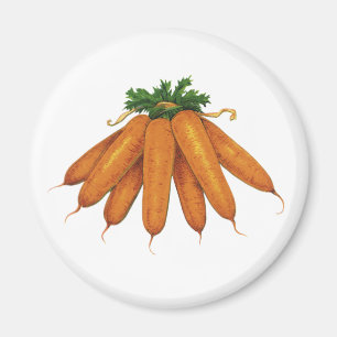 Vintage-Lebensmittel, Bündel Bio-Karotten Gemüse Magnet