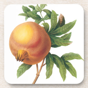 Vintage-Lebensmittel Frucht, Granatapfel von Redou Getränkeuntersetzer
