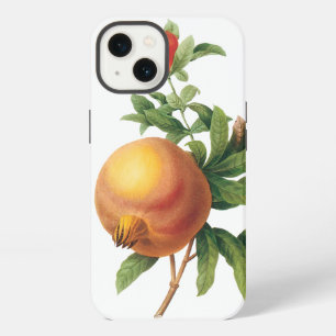 Vintage-Lebensmittel-Frucht, Granatapfel von Redou iPhone Hülle