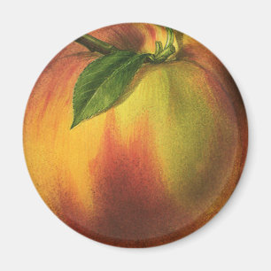 Vintage-Lebensmittel Frucht, reife Bio-Pfirsich mi Magnet