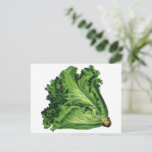 Vintage Lebensmittel, Gemüse aus grünem Leder Postkarte (Stehend Vorderseite)