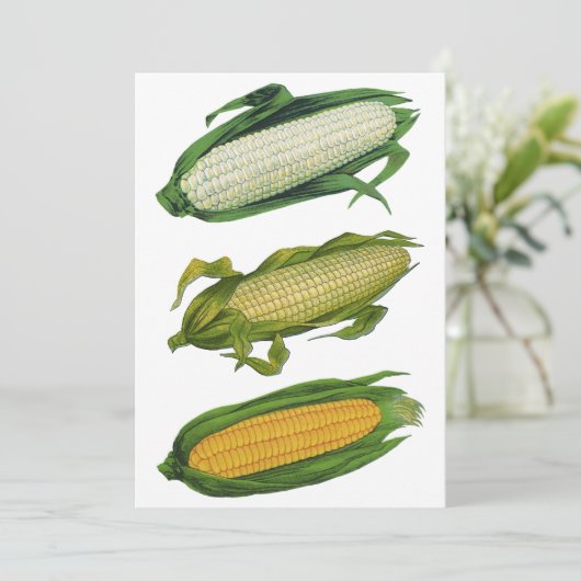 Vintage Lebensmittel gesunde Gemüse, frischer Mais (Stehend Vorderseite)