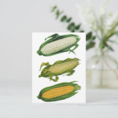 Vintage Lebensmittel gesunde Gemüse, frischer Mais Postkarte (Stehend Vorderseite)