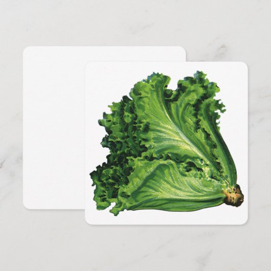 Vintage Lebensmittel Grüne Leaf Lettuce Infusion (Vorne/Hinten)