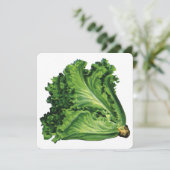 Vintage Lebensmittel Grüne Leaf Lettuce Infusion (Stehend Vorderseite)