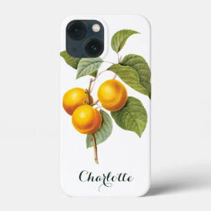 Vintage-Lebensmittel Obst, Aprikose Pfirsich von R Case-Mate iPhone Hülle