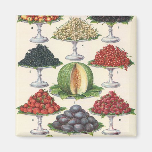 Vintage Lebensmittel Obst auf Tabletts zum Caterin Magnet (Vorne)