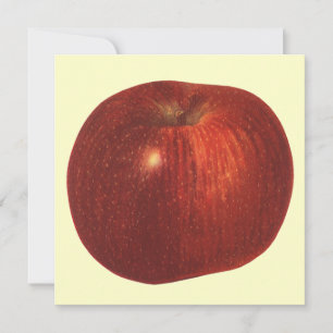 Vintage-Lebensmittel Obst, Bio-Rot Delicious Apfel