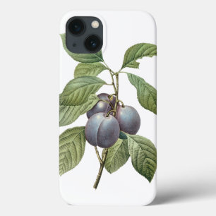 Vintage-Lebensmittel Obst, lila Gartenpflaumen von Case-Mate iPhone Hülle