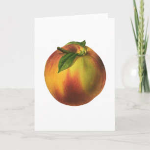 Vintage-Lebensmittel Obst, reife Bio-Pfirsich mit Karte