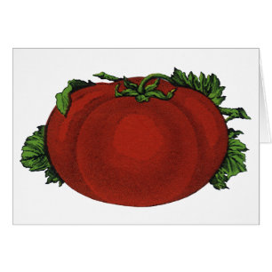 Vintage-Lebensmittel, reife Tomate, Gemüse und Obs