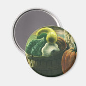 Vintage Lebensmittel, Winterquasch, Kürbis und Äpf Magnet (Vorderseite/Rückseite)