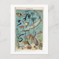 Vintage Lebewesen des Ozeanlebens