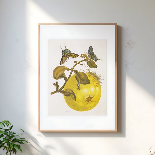 Vintage Lemon Plant With Butterflies Yellow Art Poster