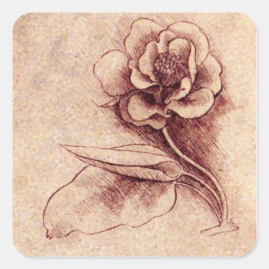 Vintage-Leonardo-Da-Vinci-Blumen-Quadrat-Aufkleber Quadratischer Aufkleber (Vorderseite)