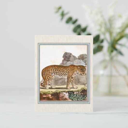 Vintage Leopard-Illustration Postkarte (Stehend Vorderseite)