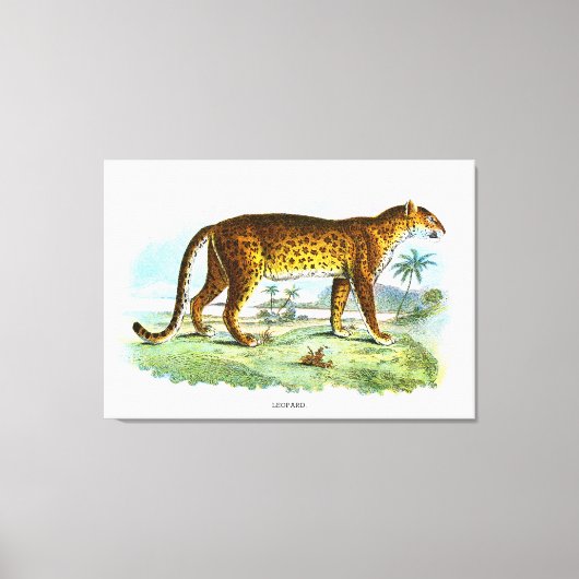 Vintage Leopardendarstellung Leinwanddruck (Vorderseite)