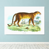 Vintage Leopardendarstellung Leinwanddruck (Insitu (Holzboden))