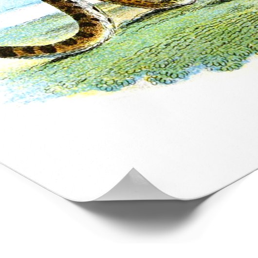 Vintage Leopardendarstellung Poster (Ecke)