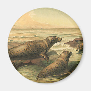 Vintage Leopardien am Ozean, wilde Tiere Magnet