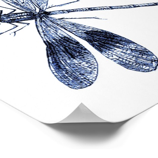 Vintage Libelle - Blau Poster (Ecke)