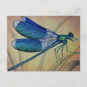 Vintage Libelle Nr. 5 und Gras Aquarell-Kunst Postkarte