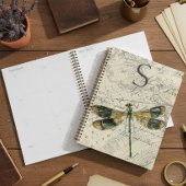 Vintage Libelle Planer