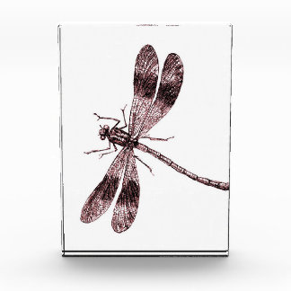 Vintage Libelle - Rot Fotoblock