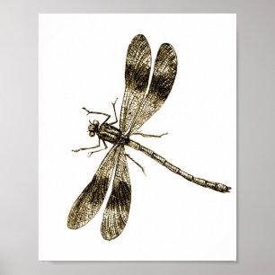 Vintage Libelle - Sepia Poster