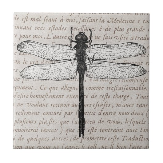 Vintage Libelle und antike Text-Collage Fliese (Vorderseite)