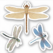 Vintage Libellen Aufkleber (Vorderseite)