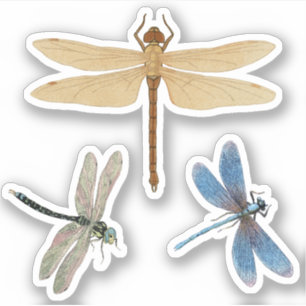 Vintage Libellen Aufkleber