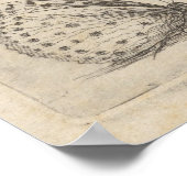 Vintage Libellenbeere Insektenkunde Entomologie Dr Poster (Ecke)